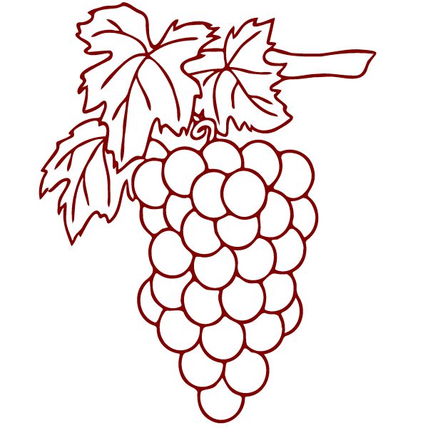 Hrozno Cabernet